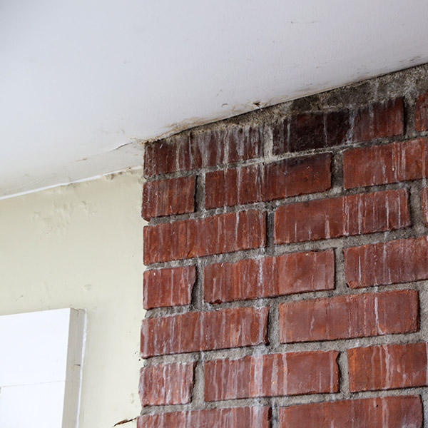 Leaking Chimney Repair Trenton, NJ